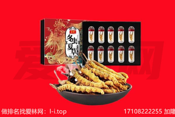 青岛市回收虫草.jpg